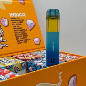 Favorites 2g Disposable vape device
